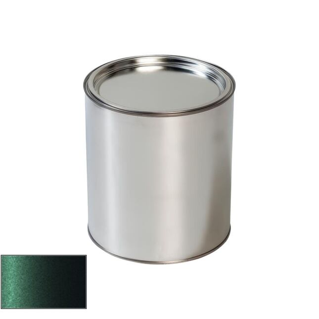 Daewoo 49L Moss Green pistol de vopsire auto