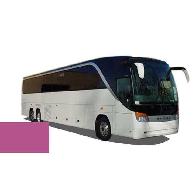 Autolak ve spreji Setra BUS 3405045 PINK