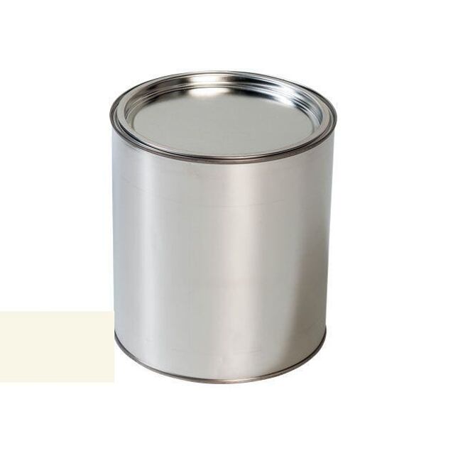 Vopsea auto pentru Dacia 10 ALB pistol