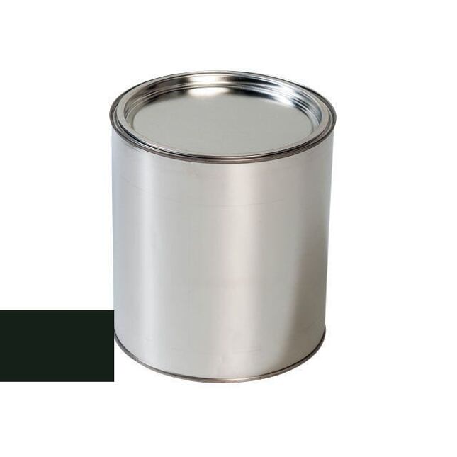 Vopsea auto pentru Audi LY6D SHERWOODGRUEN pistol