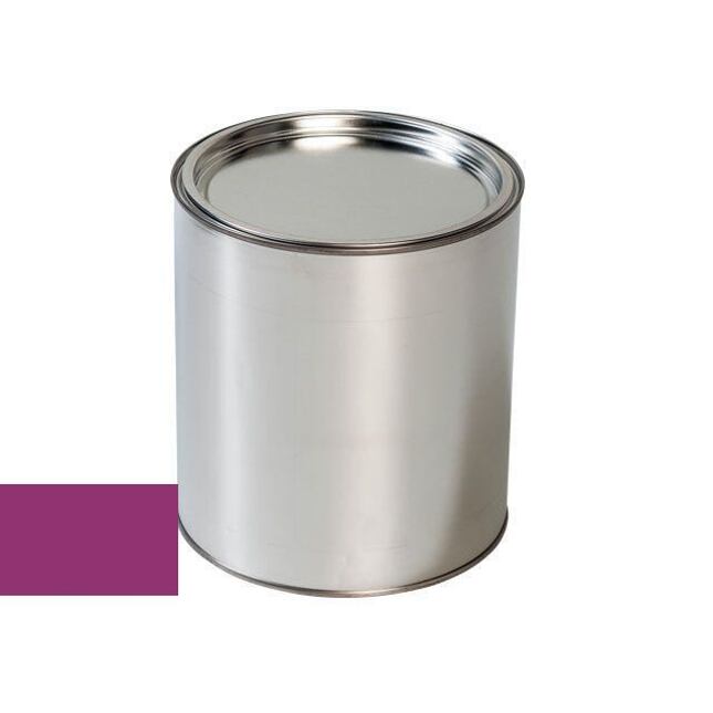 Tun de vopsit auto Ford CBT TRAFFIC PURPLE 4006-GL