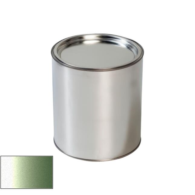 Daewoo 41F Invigorate Pistol de vopsit auto