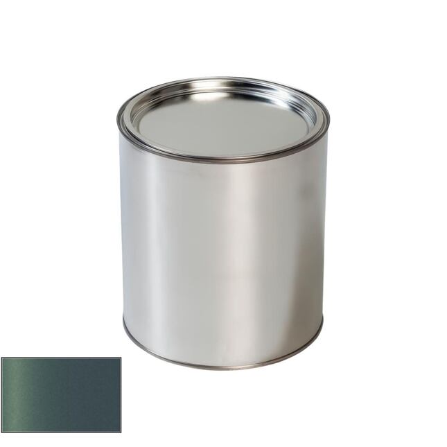 Autolak do pistole Mini WC4L Sage Green