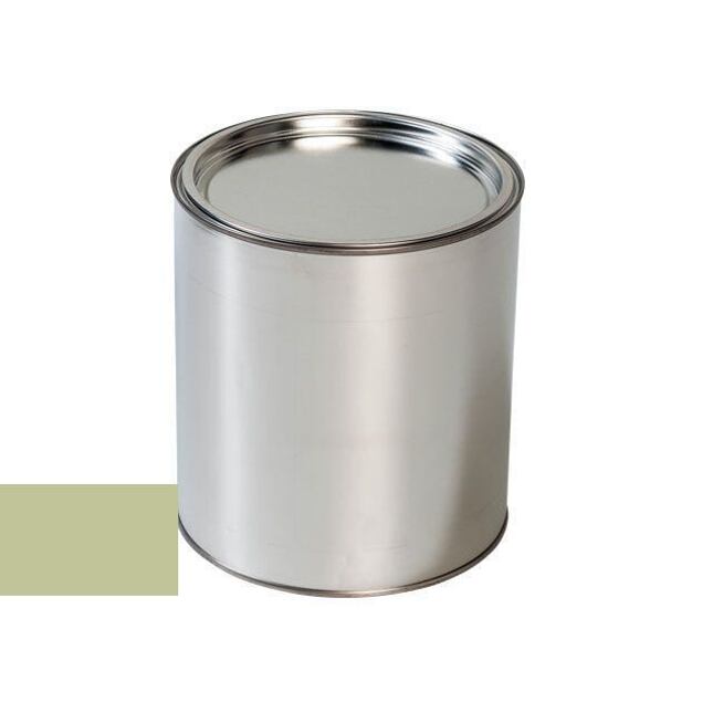 Ford BC TAXIBEIGE vopsea auto cu pistol