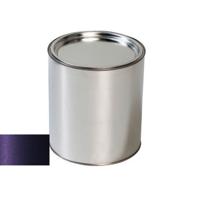 Autolak do pistole Audi LY4N BYZANZ