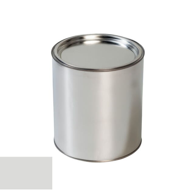 Ford 4WFAWHA OXFORD WHITE Pistol de vopsit auto