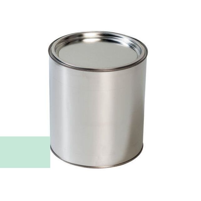 Vopsea auto pentru Fiat 166B Lattementagruen pistol