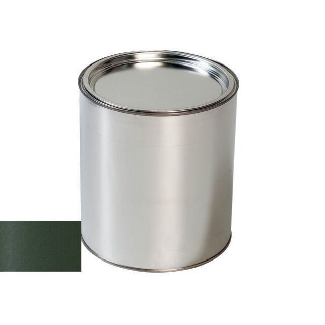 Vopsea auto Nissan DAQ BACK COUNTRY GREEN