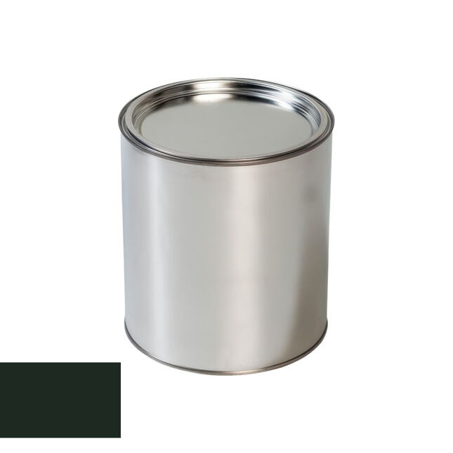 Vopsea auto pentru Mercedes 825 TIEFGRUEN pistol