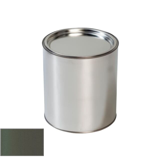 Vopsea auto pentru Porsche X6G Monteverde gun