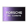 Autolak do pistole Porsche 38G Clematis